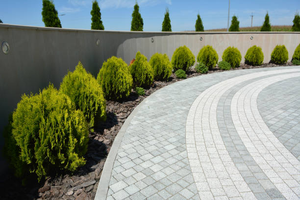 Best Local Driveway Pavers  in Maryville, TN